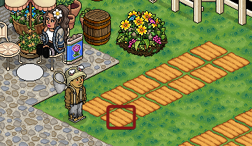 Step6-SeedPlacement.png
