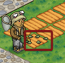 Step6.5-SeedPlaced.png
