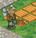 Step7.5-Watered.png