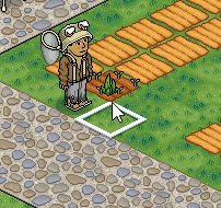 Habbo_n0fFgubepl.gif