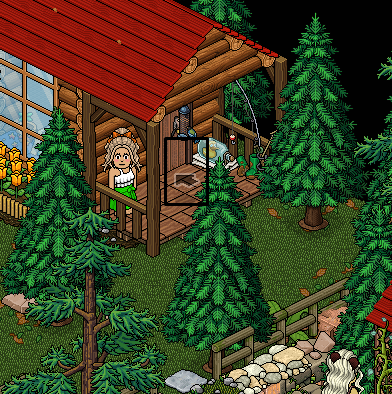 Room 4