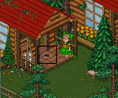 Room 5