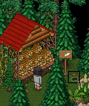 Room 6