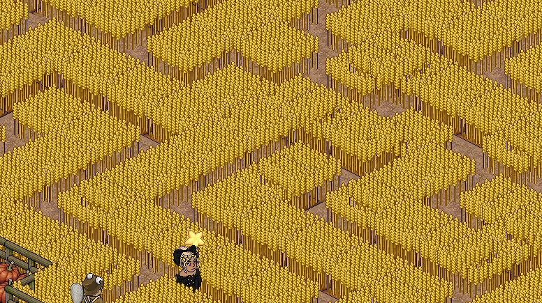 Wheat Maze 1