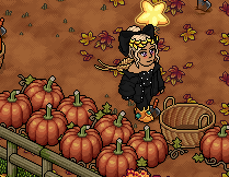 Empty Pumpkin Basket