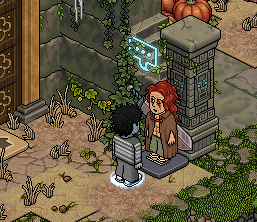 Talk to the bot