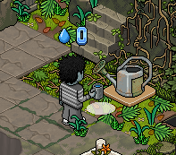 Watering Can