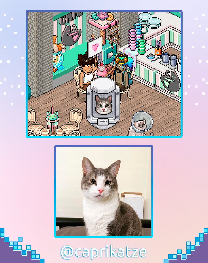 pulsecaprikatze