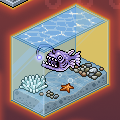 June Relics incoming!