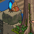 Jungle Run is here!