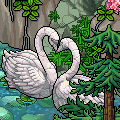 [Ducket] Environmental Day Cleanup!