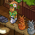 Rainbow Party Collectibles