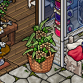 [Ducket] Tropical Getaway
